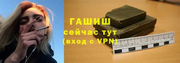 стаф Бородино