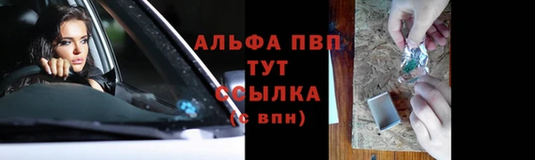 стаф Бородино