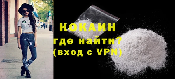 стаф Бородино