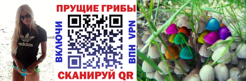 Галлюциногенные грибы мицелий  Туймазы 
