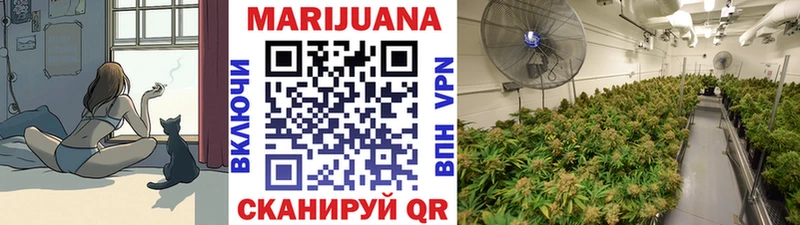 МЕГА маркетплейс  Туймазы  Шишки марихуана гибрид  как найти закладки 